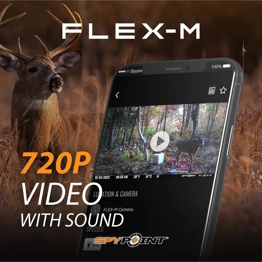 Flex-M Cellular Trail Camera